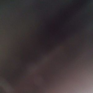 Meet your Posher, Leonardo